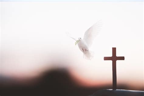 Premium Photo The White Dove And The Holy Cross Of Jesus Christ