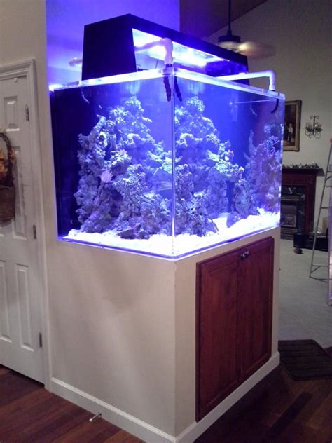 250 Gallon Reef Tank Reef Central Online Community