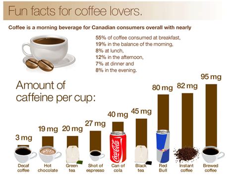 Fun Facts About Coffee Cappuccino Oracle