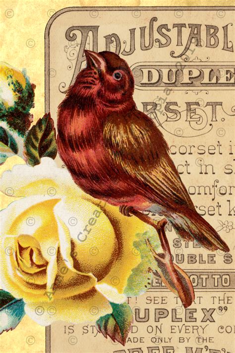 Annes Creative Cornucopia Vintage Flower Bird Postcard