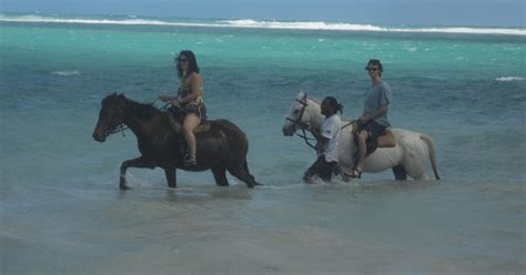 Guided Beach Horseback Riding Dunns River Falls And Park Getyourguide
