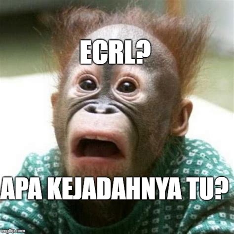 Projek landasan kereta api ke pantai timur impak positif. Projek ECRL, Permata Baru Bersinar di Pantai Timur?