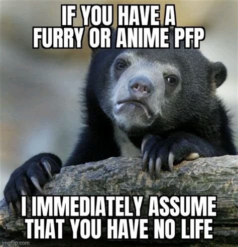 Furry Or Anime Pfp Assume No Life Imgflip