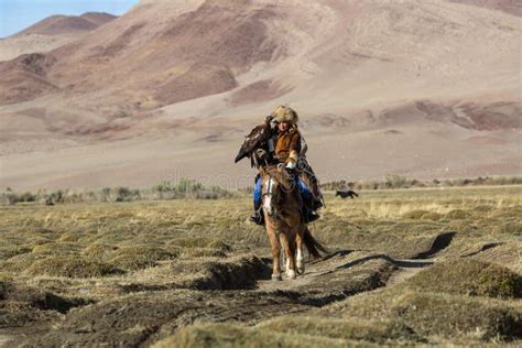 Kazakh Eagle Hunter Berkutchi With Horse While Hunting To The Hare With