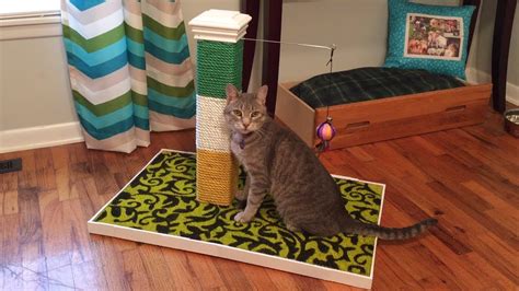 Diy Cat Scratch Post Youtube