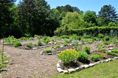 Using Georgia Native Plants Botanical Garden Georgia Perimeter College