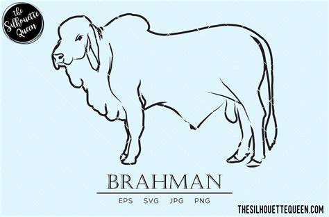 Brahman Svg Cow Svg Cattle Svg Hybrid Cow Svg Mammal Svg Etsy Hand Sketch Svg Brahman
