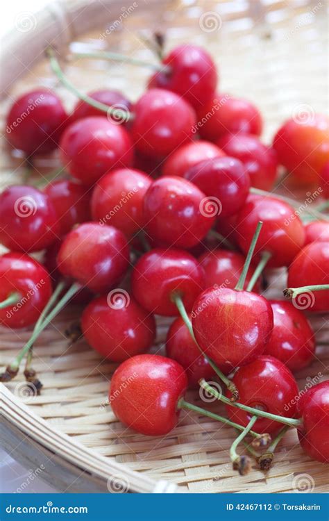Cherry Fruit Stock Photo Image Of Shiny Leaf Macro 42467112
