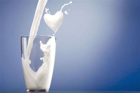 Toned Milk And Everything You Should Know About It