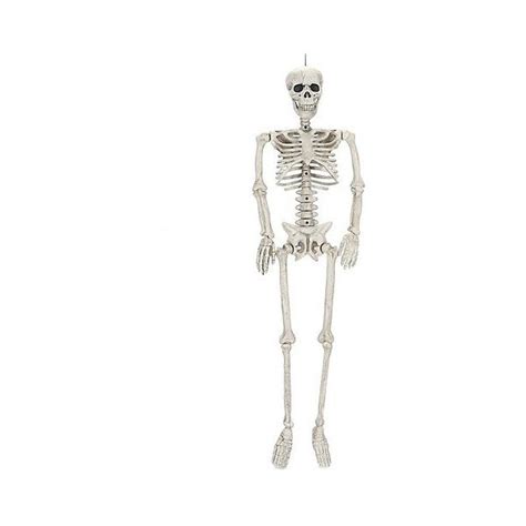 Halloween Hanging Posable Skeleton Ivory 15 Liked On Polyvore