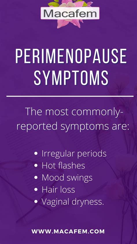 Perimenopause Symptoms An Immersive Guide By Macafem
