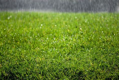 Rain Drops On Grass Stock Image Image Of Mother Nurture 2782975