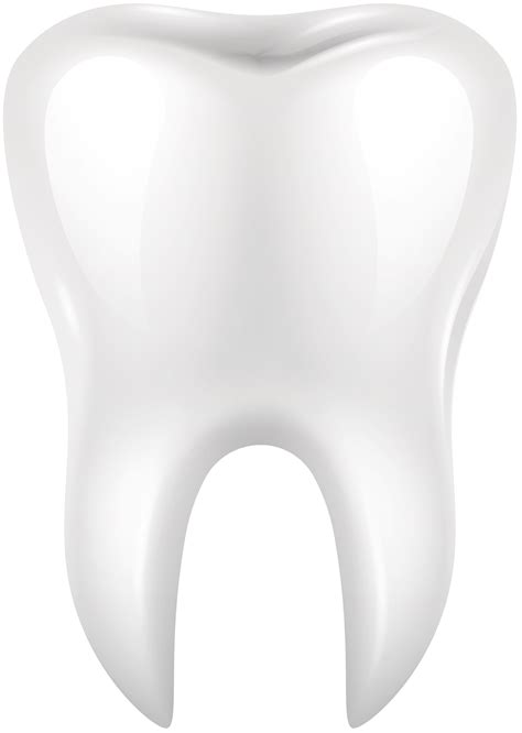 White Tooth Png Clip Art Best Web Clipart