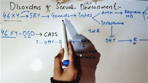 disorders of sexual development details gonadal dysgenesis gynaecology hormonal control part 9
