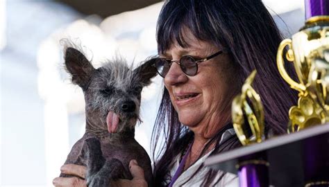 Scooter Wins Worlds Ugliest Dog Contest And Millions Of Hearts