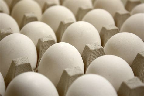 Tray Of Eggs Close Up Picture Free Photograph Photos Public Domain