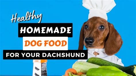 Best Dog Food For Dachshunds Easy Healthy And Homemade Recipe That