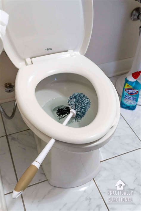 diy bleach toilet cleaner stephani dove