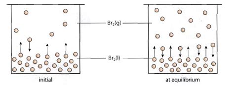 To determine the tensions in the cables for a given weight of the engine, we need to learn how to draw a free body diagram and apply equations of equilibrium. Nathalie Chemistry Blog: 7.1: Dynamic equilibrium