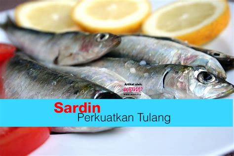 Ikan Sardin Women Online Magazine