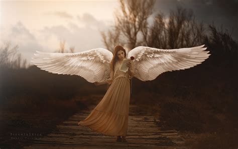 Isolated on the black background. Girl With Wings Angel, HD Girls, 4k Wallpapers, Images ...