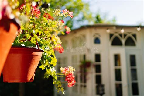 Pots With Flowers On Gazebos In The Park Plants For Decorating The