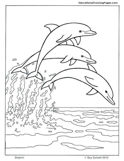 Sheets military coloring pages 52 picture coloring page with. Marine Corps Coloring Pages at GetColorings.com | Free ...