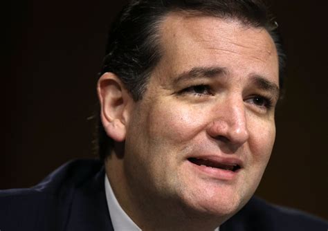 Contact ted cruz on messenger. Ted Cruz To Renounce Canadian Citizenship | HuffPost