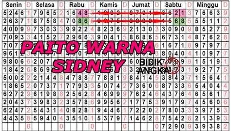 paito sidny warna