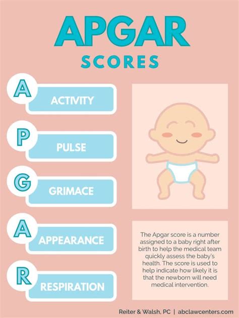 What Is The Apgar Score 5 Assessments Of Newborn Health