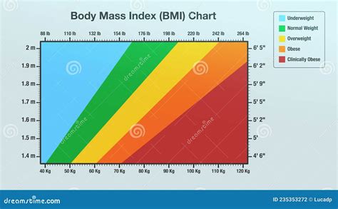 Body Mass Index Chart Stock Illustration Illustration Of Check