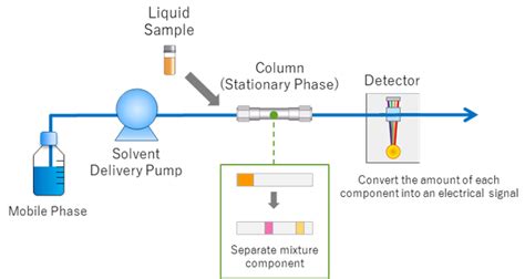 What Is Hplc High Performance Liquid Chromatography ？ Shimadzu