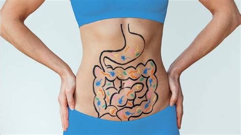 4 most common digestive system diseases best herbal health