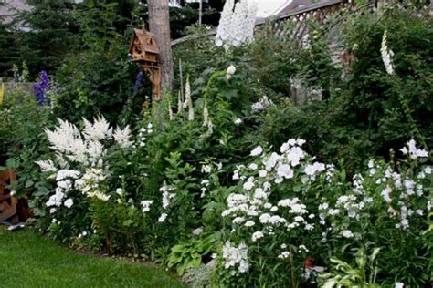 White Moon Gardens Bring Your Wonder