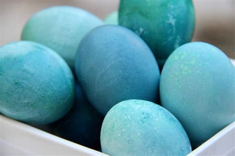 Naturally Dyed Blue Eggs Chic Ideology