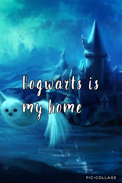 Hogwarts Is My Home Harry Potter Poudlard