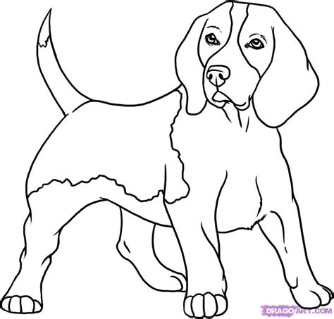 Simple Beagle Puppy Drawing Beagle Puppy