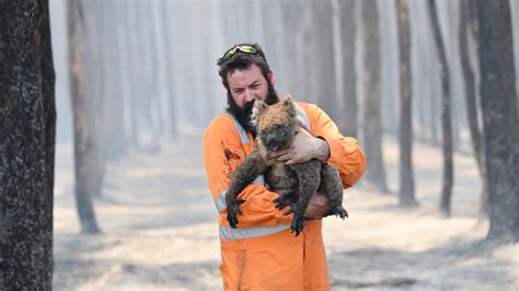 Australian Fires Over 1 Billion Animals Feared Dead Experts Say