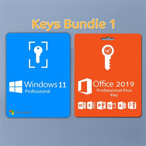 Windows 11 Pro Microsoft Office 2019 Pro Plus Lifetime License Key
