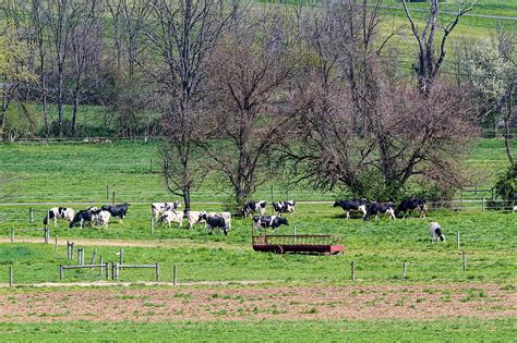 Farm Scene Photograph By Sally Weigand Pixels