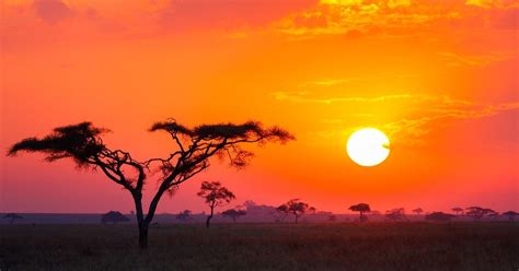 Premium Tanzania Safari Exodus Travels Cities In Africa Africa