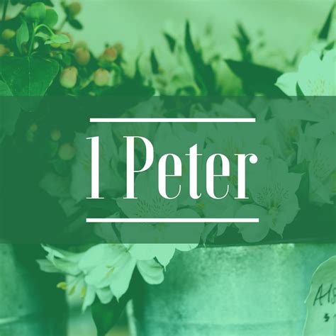 1 Peter — Scripture Paths