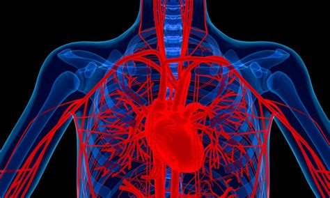 Arthritis Drug Could Cure Severe Heart Condition