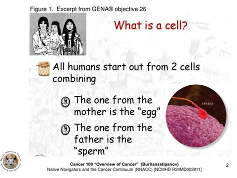Ppt Genetic Cancer Basics Powerpoint Presentation Free Download Id