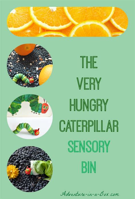It's a total of 96 pages (includes color & b/w), with a variety of fun activities! The Very Hungry Caterpillar: Delicious Sensory Bin!