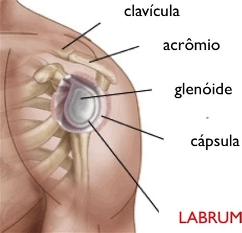 Lesão SLAP lesão do labrum superior Dr Leonardo Cavinatto Médico Ortopedista