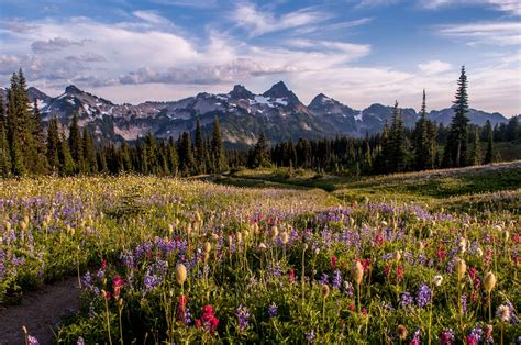 Heres What You Can Access In Washington State With A Discover Pass