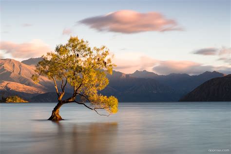 Lake Wanaka Wallpaper Download Lake Wanaka Hd Wallpaper Appraw