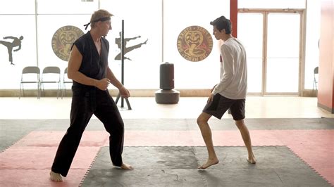 Последние твиты от cobra kai (@cobrakaiseries). YouTube Original Cobra Kai is coming to Netflix on August 28th