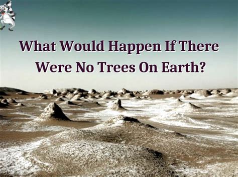 What Would Happen If There Were No Trees On Earth